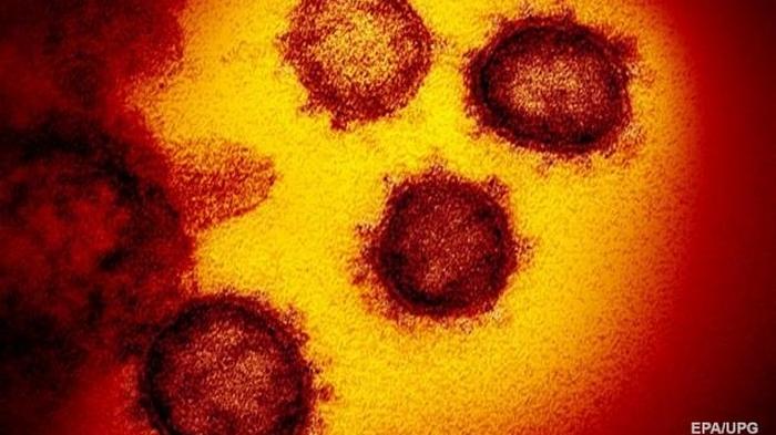 В США от коронавируса умер первый человек